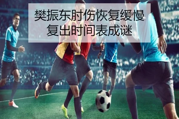 樊振东肘伤恢复缓慢 复出时间表成谜