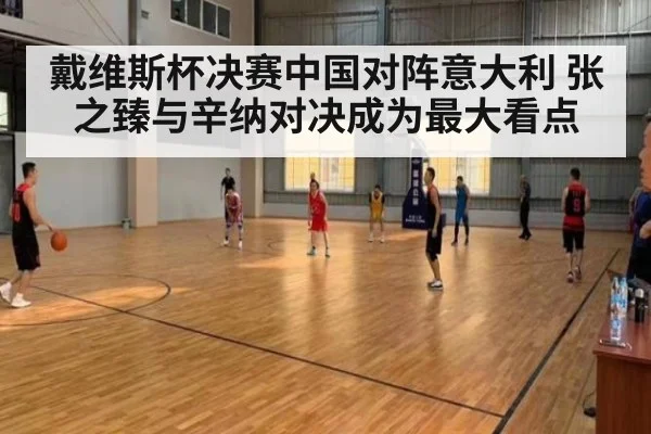戴维斯杯决赛中国对阵意大利 张之臻与辛纳对决成为最大看点