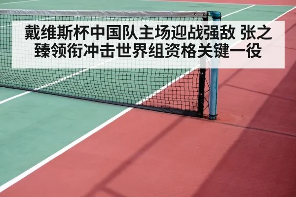 tennis doubles net play